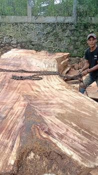 Gallery slider thumbnail image