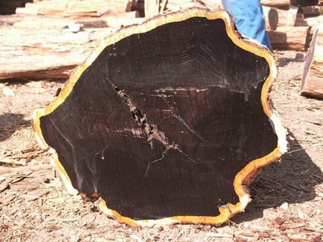 Thumbnail of productEbony Black Wood Logs