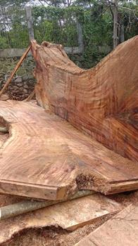 Gallery slider thumbnail image