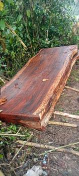 Gallery slider thumbnail image