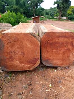 Thumbnail of productDoussie square logs